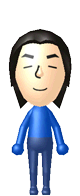 Mii 290