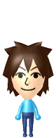 Mii 501